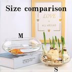 Glass Lotus Bowl Planter, 8 in Lotus Flower Bowl, Lotus Bowls - Image 4