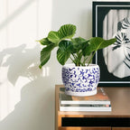 SQOWL 6 Inch Planter - Image 6