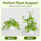 Larger 23.6in Plant Trellis for Climbing Plants Indoor Outdoor, 4 Pack - Image 4