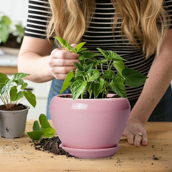 6 Inch Plant Pot - Image 6