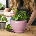 6 Inch Plant Pot - Image 6
