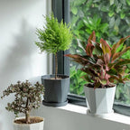 InmeRun Plant Pots Indoor Plastic Flower Pots Outdoor 7 inch Set of 6 Pack - Image 3