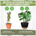 Self-Watering Pots for Indoor Plants 4 Pack, 6/8/10/12 Inch Outdoor Planters - Image 6