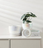 Ton Sin White Plant Pots, Pearl Gold Ceramic Flower Pots 4"+5"+6" Inch Indoor - Image 4