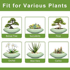 Ceramic Bonsai Pots - Image 7