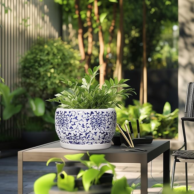 SQOWL Ceramic Pots for Plants - Image 5