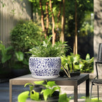 SQOWL Ceramic Pots for Plants - Image 5