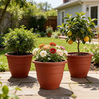 3 Pack Large 16 Inch Plastic Plant Pots - Image 5