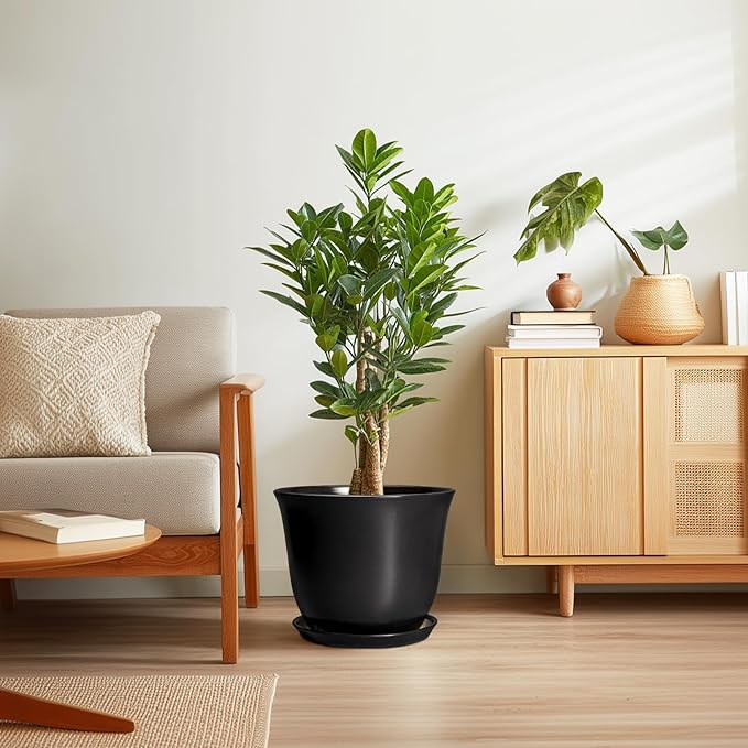 Ceramic Plant Pots - Image 7