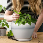 Ceramic Planter - Image 7