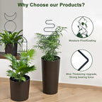 Indoor Plant Trellis for Climbing Plants, 16inch Small Garden Metal Trellis for - Image 3