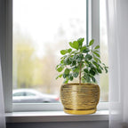 SQOWL Ceramic Flower Pot - Image 4