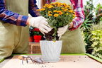 7 Inch Plant Pots 5 Pack, Flower Planters - Image 6