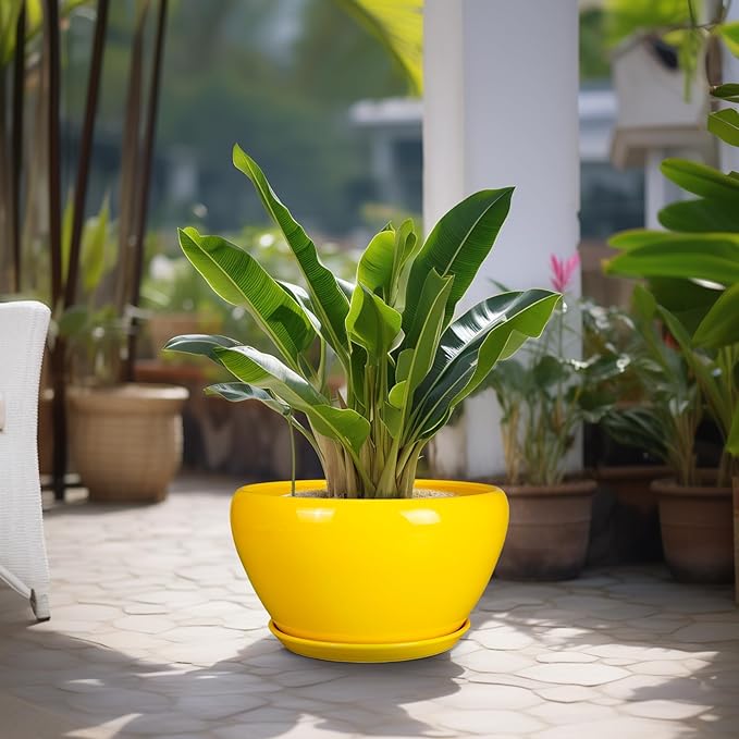 Ceramic Planter for Indoor Plants - Image 4