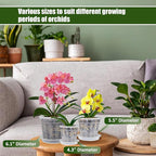 Orchid Pot with Saucers, 2 Each of 4.3", 6.1" Orchid Pots with Holes - Image 2