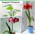 Plant Support Stakes for Indoor SupKing Orchid Sticks - Image 6