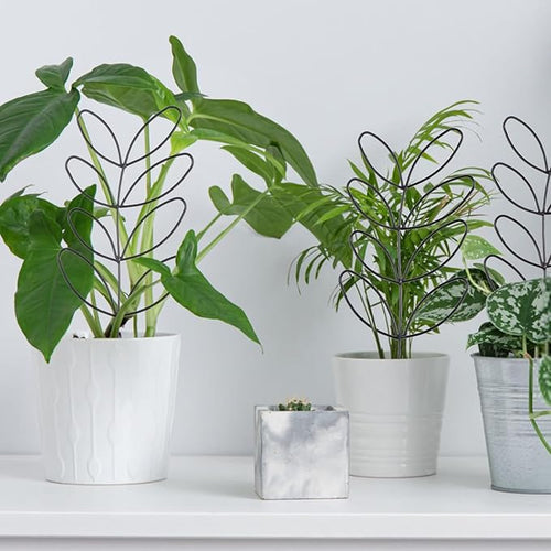 2 Pcs Plant Trellis Indoor, Plant Support - Image 2