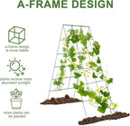 Cucumber Trellis for Raised Bed, Garden Trellis for Climbing Plants Outdoor - Image 4