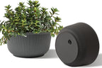 T4U 10 Inch Self Watering Pots for Indoor Plants, Plastic Plant Pots by T4U