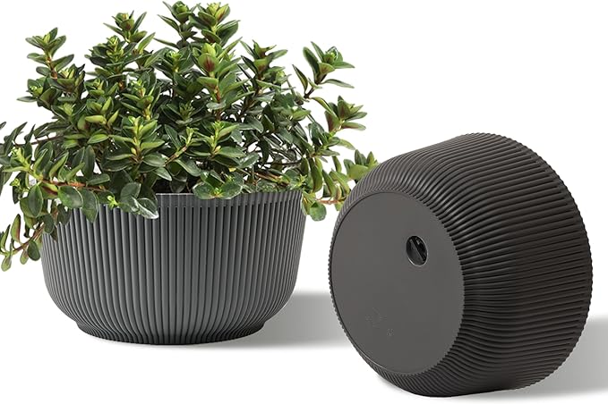 T4U 10 Inch Self Watering Pots for Indoor Plants, Plastic Plant Pots by T4U