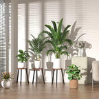 2-Pack Wood Plant Stands Indoor, 16.7" Tall Plant Stand Outdoor Mid-Century - Image 7