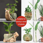 Small Ceramic Succulent Pot - Image 2