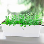 Window Box Planter with Tray - Image 7