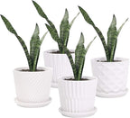 Plant Pots - 5.5 Inch Cylinder Ceramic Planters by sietpoek