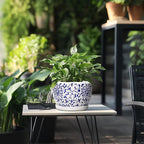 SQOWL Ceramic Pots for Plants - Image 5