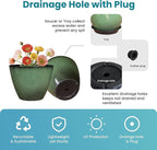 4 Pack 8 inch Plant Pots, Plastic Planter - Image 3