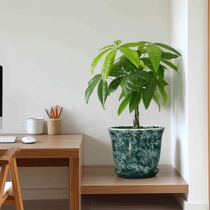 Ceramic Plant Pots - Image 7