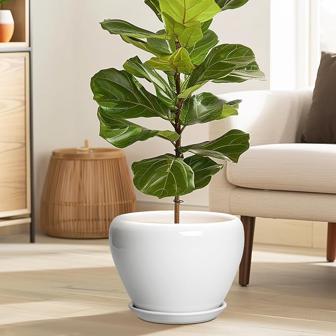Ceramic Pot for Plants - Image 2