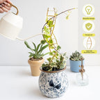 Indoor Plant Trellis for Potted Plants - Image 6