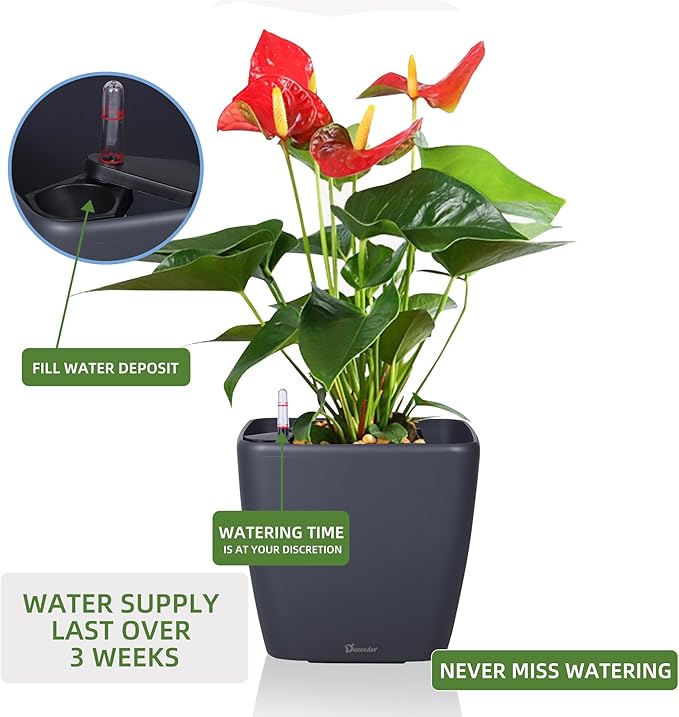 Dexceder 15x14 Self Watering Planter - Image 5