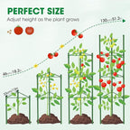 3 Pack Tomato Cages, 51.2in Tomato Plant Support Stakes Heavy-Duty, Garden - Image 4