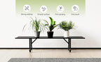 Zhongma One Tier Metal Plant Stand - Image 4
