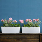 Skelang 2-Pack Self Watering Planter, Rectangle Flower Pot - Image 7