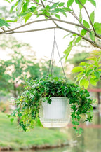 Melphoe 1 Pack Self Watering Hanging Planters Indoor Flower Pots, 8.3 Inch - Image 9