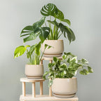 G EPGardening Ceramic Planter - Image 7