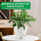 Self-Watering-Pots-for-Indoor-Plants, 8 Inch Flower Pots - Image 6