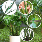 4 Pack Plant Support Stakes, Plant Stakes - Image 4