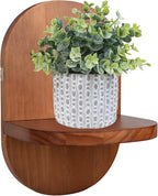 ARTORA Wall Mounted Plant Holder, Wooden Flower Pot Wall Hanging Shelf Black by ARTORA