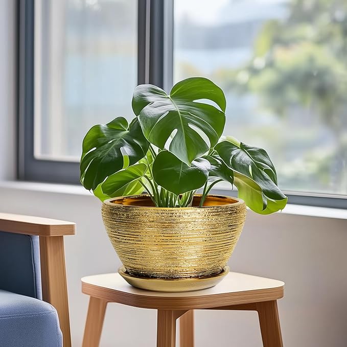 Ceramic Plant Pot Indoor - Image 4