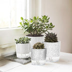 4 Pack Self Watering Pots for Indoor Plants, 4/5.5 Inch Lightweight Planters - Image 7