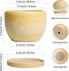 SQOWL Ceramic Flower Pots - Image 3
