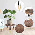 Plant Stand Indoor Outdoor, Mid Century Style Walnut Wood Color Plant Stand - Image 4