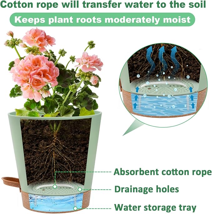 Aulock 6in Self Watering Pots for Indoor Plants - Image 4