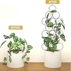 Trellis for Climbing Plants Indoor, 3 Pack Stackable Garden Trellis for Potted - Image 6