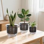 Plant Pots 6/5/4 inch Set of 3, Self Watering Pots - Image 8