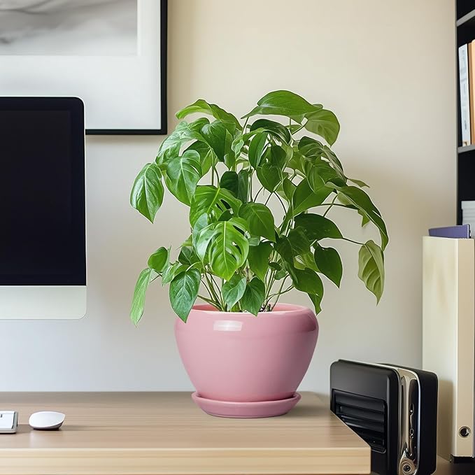 6 Inch Plant Pot - Image 7